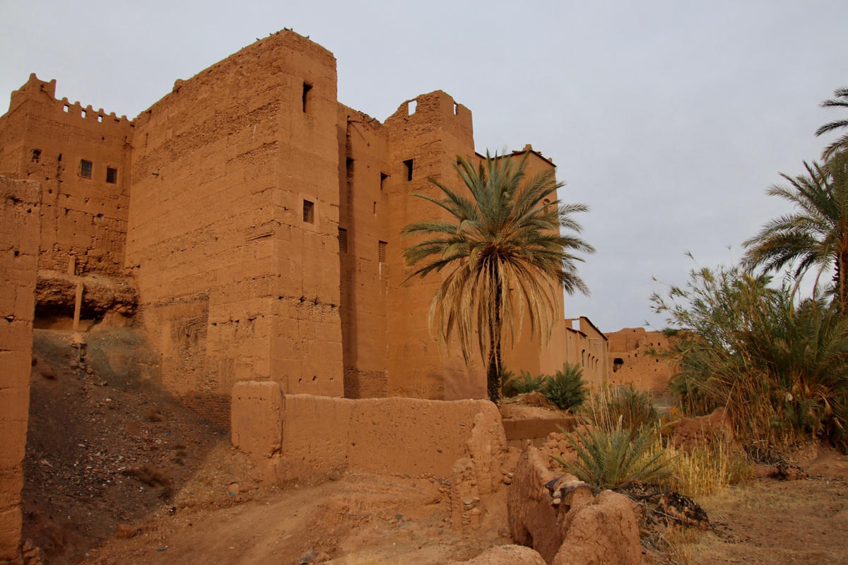 Meharee Maroc - Circuits 8 jours au départ de Marrakech