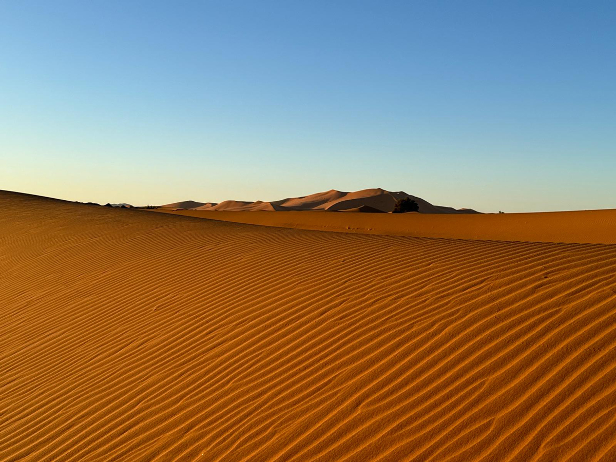 Meharee Maroc Erg Chegaga - dunes de Merzouga